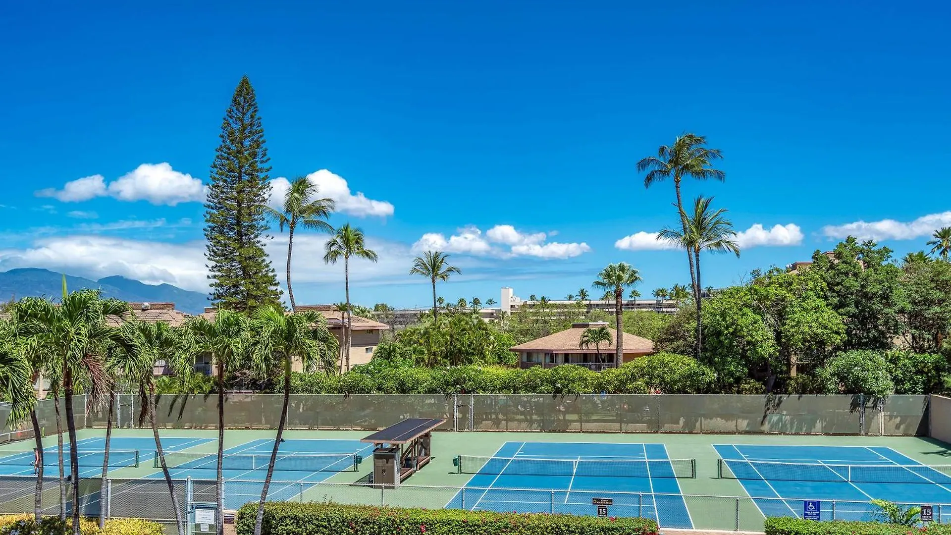 Kamaole Sands 2-204 - Ocean View Condo, Ac, Wi-Fi Wailea  USA