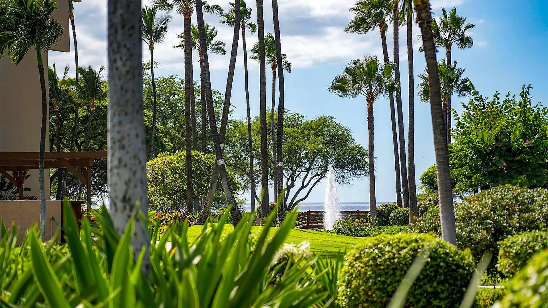 Prázdninový dům Kamaole Sands 2-204 - Ocean View Condo, Ac, Wi-Fi Wailea  USA