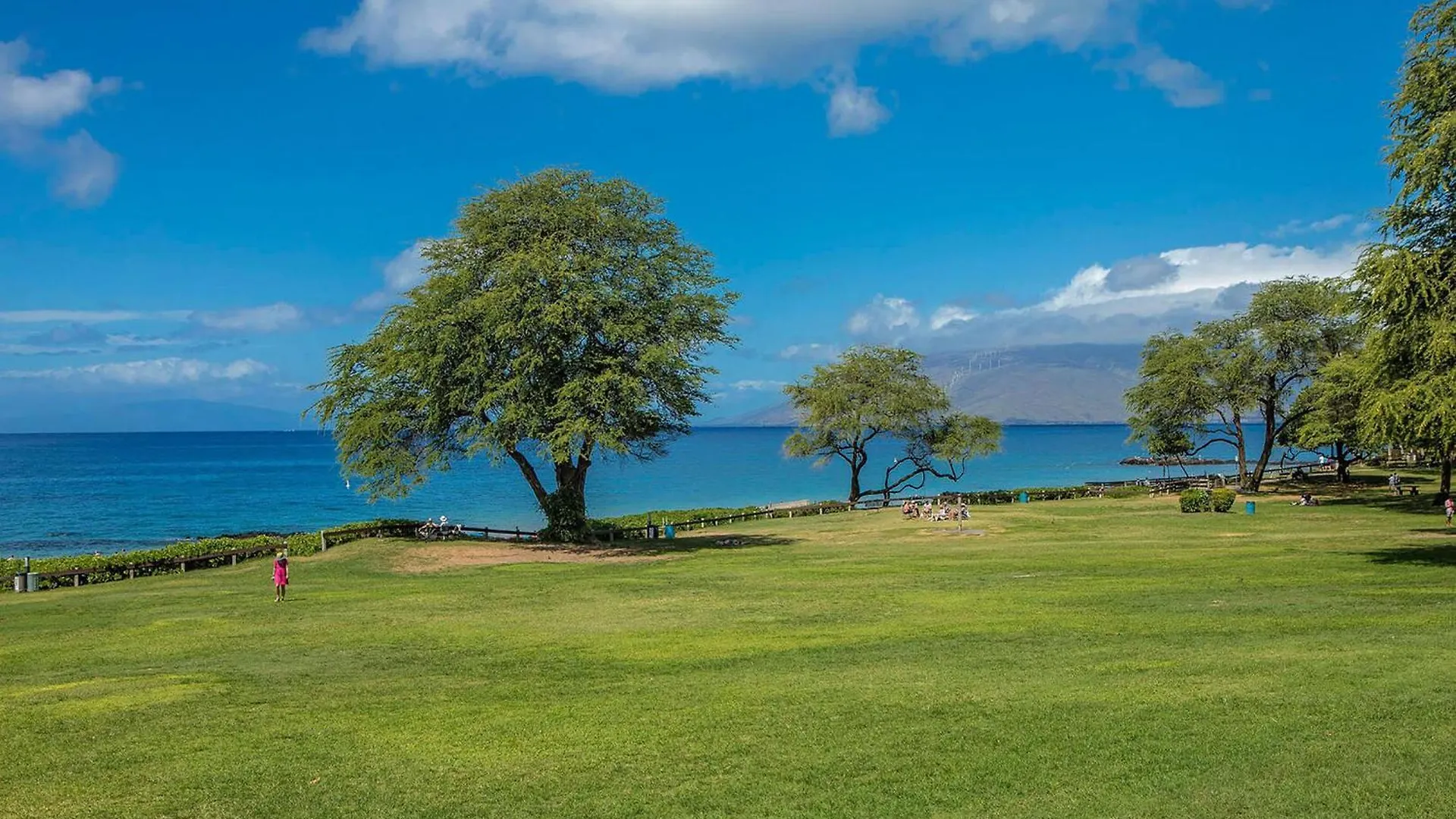 Kamaole Sands 2-204 - Ocean View Condo, Ac, Wi-Fi Wailea  0*, Wailea (Maui)