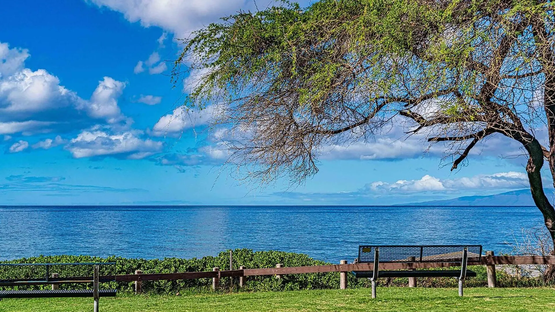 Kamaole Sands 2-204 - Ocean View Condo, Ac, Wi-Fi Wailea  Prázdninový dům